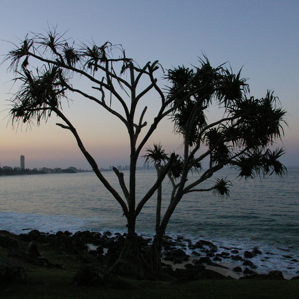 バーレイヘッズ　Burleigh Heads