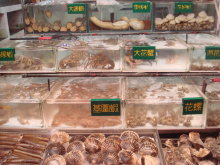 H.I.S香港支店の日記