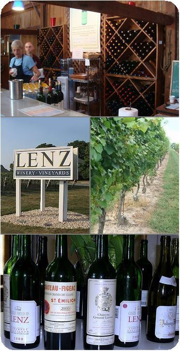 H.I.S. ニューヨーク支店便り-Linz Winery