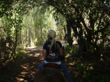 H.I.S. ホノルル支店 ☆ LeaLeaブログ　　　　　　　　　　　　　　　　　　　　　　　ハワイのコネタ♪-horseback riding 10
