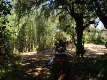 H.I.S. ホノルル支店 ☆ LeaLeaブログ　　　　　　　　　　　　　　　　　　　　　　　ハワイのコネタ♪-horseback riding 11