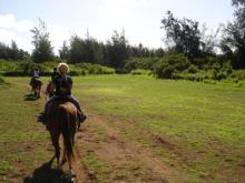 H.I.S. ホノルル支店 ☆ LeaLeaブログ　　　　　　　　　　　　　　　　　　　　　　　ハワイのコネタ♪-horseback riding 18