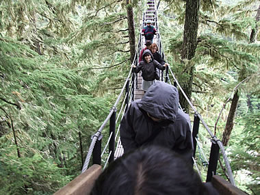 H.I.S.バンクーバー支店-Treetrek &amp; Ziptrek 3