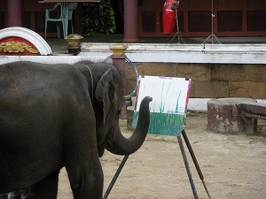 H.I.S.プーケット支店のブログ-PHUKET ZOO