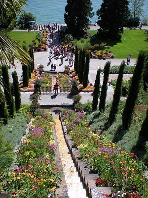 H.I.S.ウィーン支店　～ Wien～-Mainau4