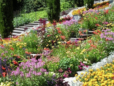 H.I.S.ウィーン支店　～ Wien～-Mainau2