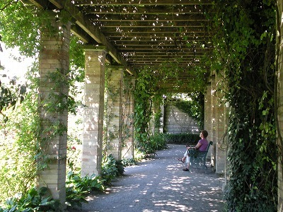 H.I.S.ウィーン支店　～ Wien～-Mainau7