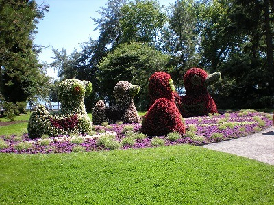 H.I.S.ウィーン支店 ~ Wien~-Mainau10