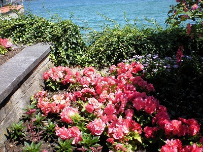 H.I.S.ウィーン支店　～ Wien～-Mainau19