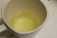 H.I.S.トロント支店  メープルライフ♪