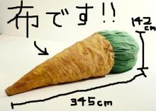 H.I.S. ニューヨーク支店便り