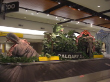 H.I.S.トロント支店 メープルライフ♪-Calgary1