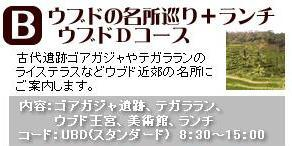 H.I.S.バリ島支店 ～バリフリークへの道～