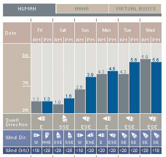 H.I.S.ゴールドコースト支店