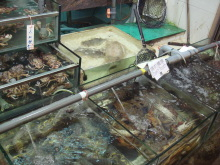 H.I.S香港支店の日記