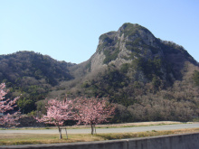 海外でスポーツ！ブログ