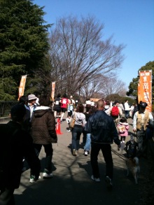 海外でスポーツ!ブログ