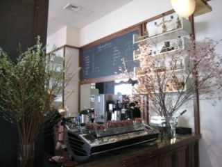 H.I.S. ニューヨーク支店便り