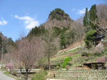 “自然を楽しむ”エコなブログ-上野村の風景