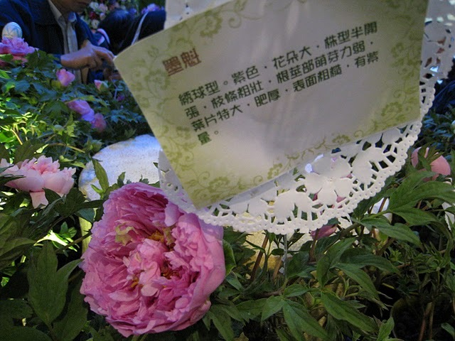 H.I.S香港支店の日記