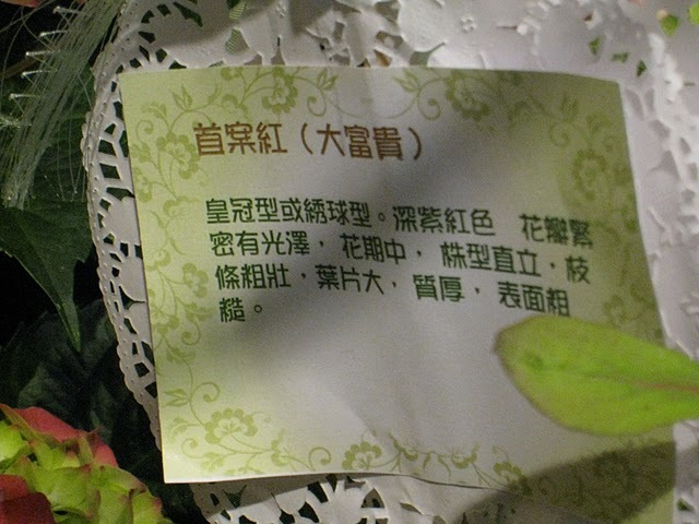 H.I.S香港支店の日記