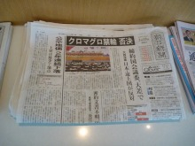 H.I.S.トロント支店  メープルライフ♪