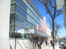 H.I.S.トロント支店  メープルライフ♪