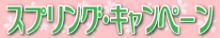 H.I.S. ニューヨーク支店便り