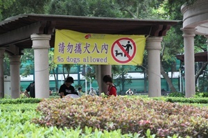 H.I.S香港支店の日記