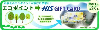 H.I.S.バリ島支店 ～バリフリークへの道～