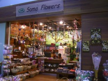 ＊＊H.I.S　カンボジア支店の日記＊＊