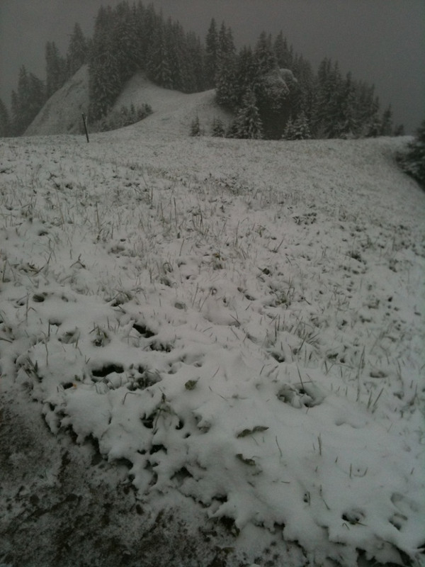 photo:03