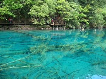 愛智思之旅成都分公司のブログ