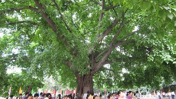 愛智思之旅成都分公司のブログ