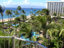 海外でスポーツ!ブログ