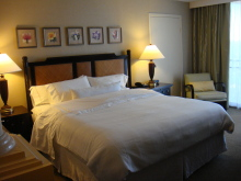 海外でスポーツ!ブログ