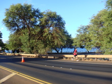 海外でスポーツ！ブログ