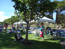 海外でスポーツ！ブログ