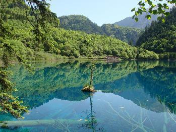 愛智思之旅成都分公司のブログ