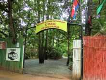 ＊＊H.I.S　カンボジア支店の日記＊＊