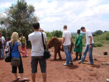 “自然を楽しむ”エコなブログ-象の孤児院③