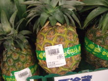 沖縄 美ら海ブログ