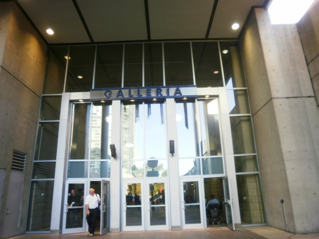 H.I.S.トロント支店  メープルライフ♪