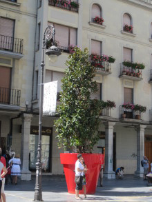 impresso BLOG