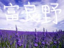 H.I.S.北京支店のブログ～今日の北京～