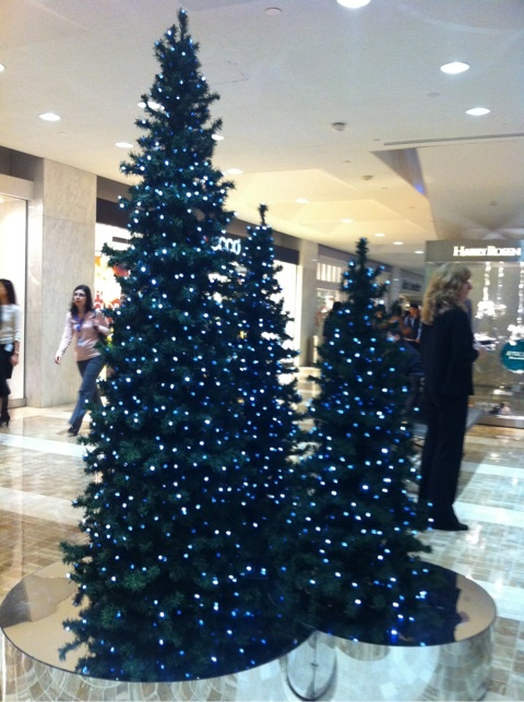 photo:04