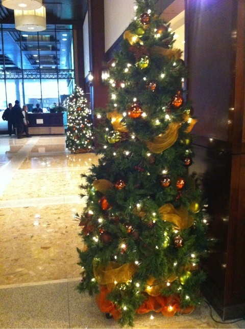 photo:06