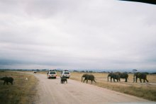 H.I.S.≫車いす又は杖で旅する！「専任添乗員がご案内する・バリアフリー旅なかま」