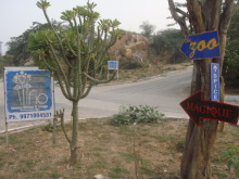 H.I.S.デリー支店（インド）