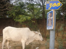 H.I.S.デリー支店（インド）